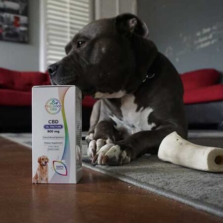 CBD Haustier