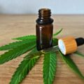 Deutschlands Cannabismarkt wächst weiter