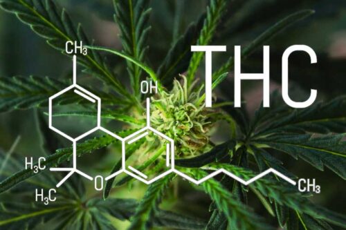 THC