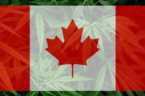 Cannabiskonsum unter Teenagern nach Legalisierung in Kanada um die Hälfte gesunken
