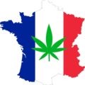 Cannabis-Legalisierung in Frankreich populär