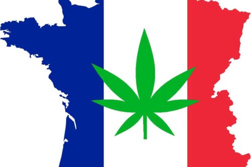 Cannabis-Legalisierung in Frankreich populär