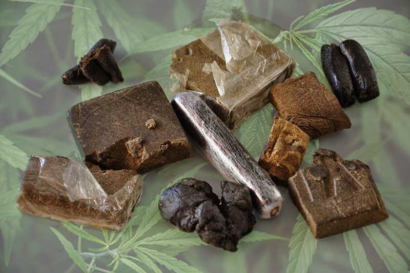 Haschisch Der Hanf Blog Hier findet Ihr News über Hanf, Marihuana und Cannabis.