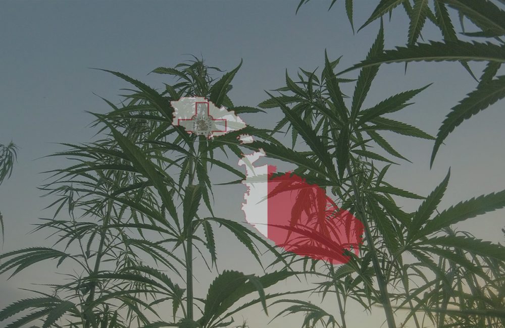 Malta legalisiert Cannabis