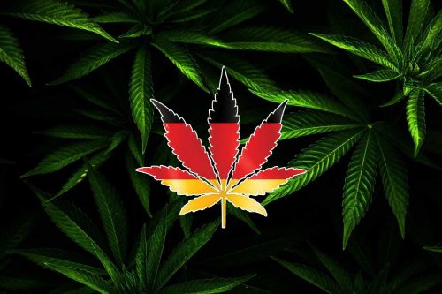 Cannabis Legalisierung in Deutschland