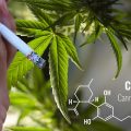 CBD könnte Tabakrauchern helfen, mit dem Rauchen aufzuhören, so eine Studie