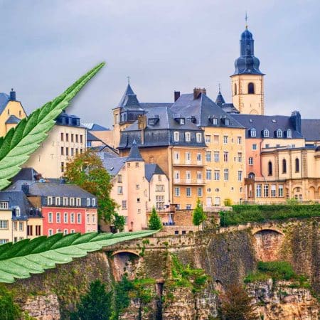 Luxemburg legalisiert als zweites Land in der EU Cannabis für den persönlichen Gebrauch