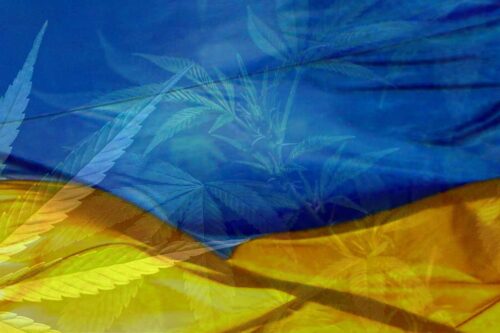 Ukraine trifft Entscheidung zur Legalisierung von medizinischem Cannabis
