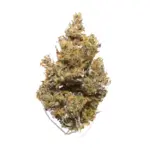 501St Og