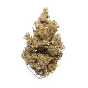 501St Og