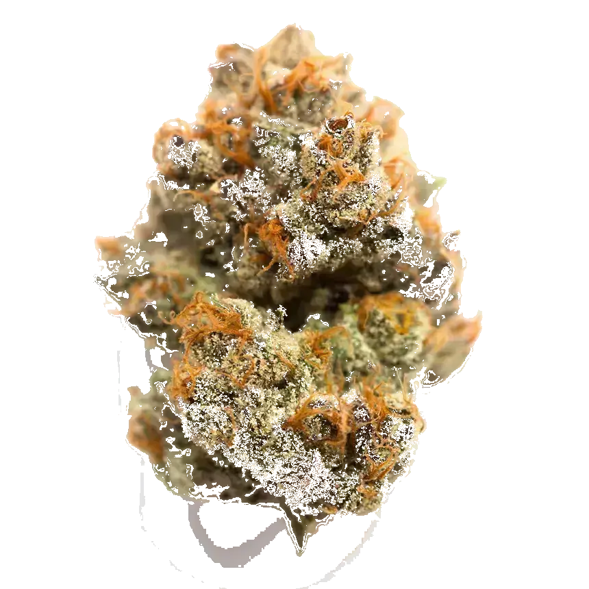 5K Puff