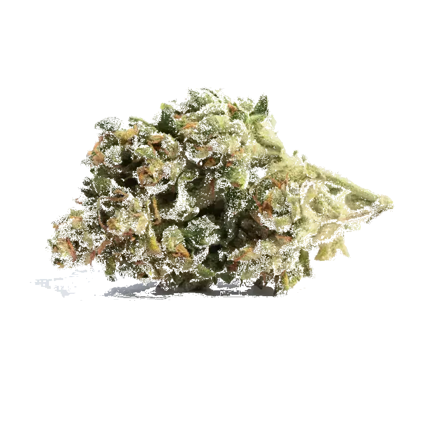 Acapulco Gold
