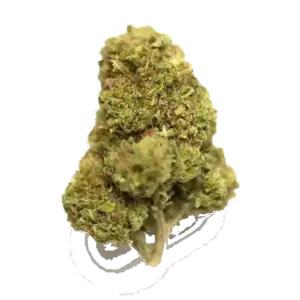 Afghan Sour Kush