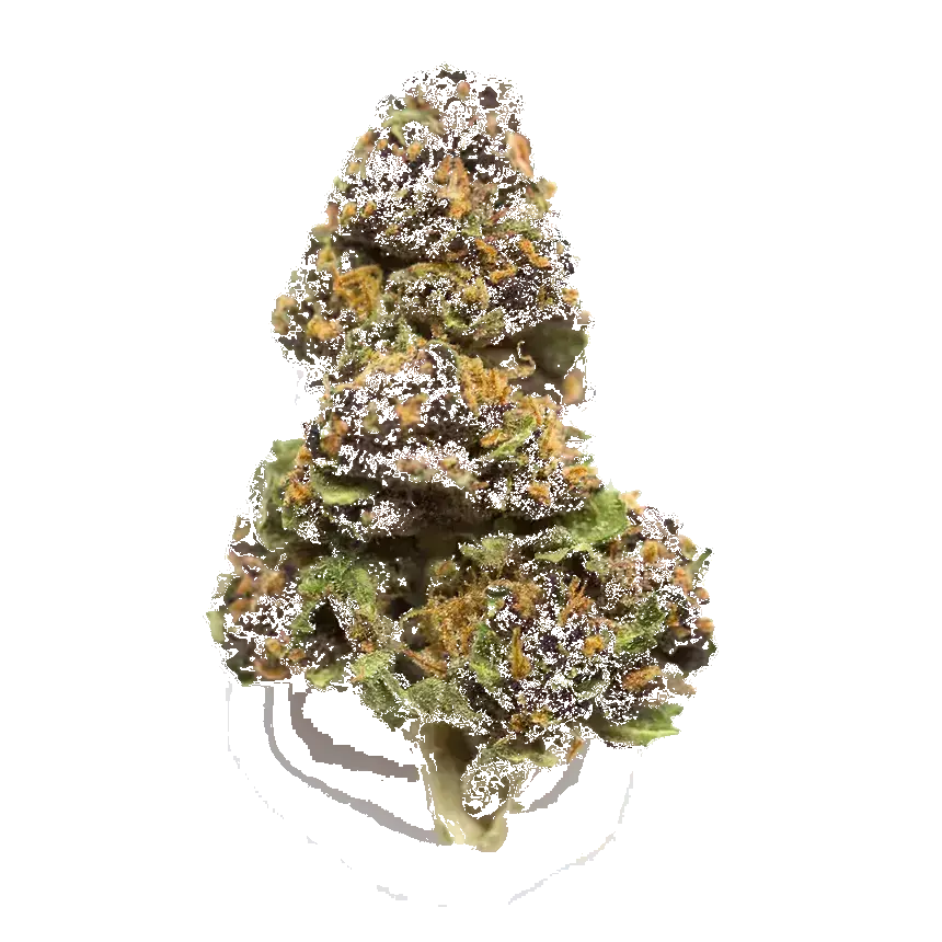 Agent Orange