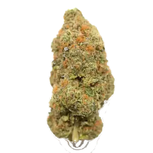 Ak-48