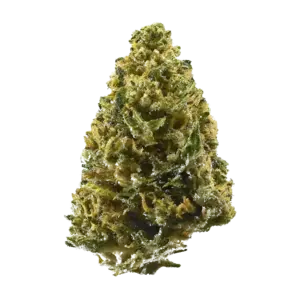 Alien Cookies