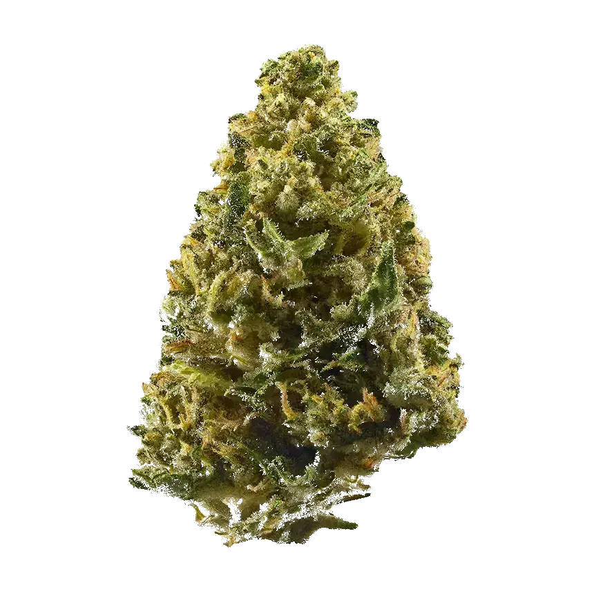 Alien Cookies