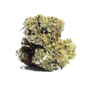 Alien Dawg