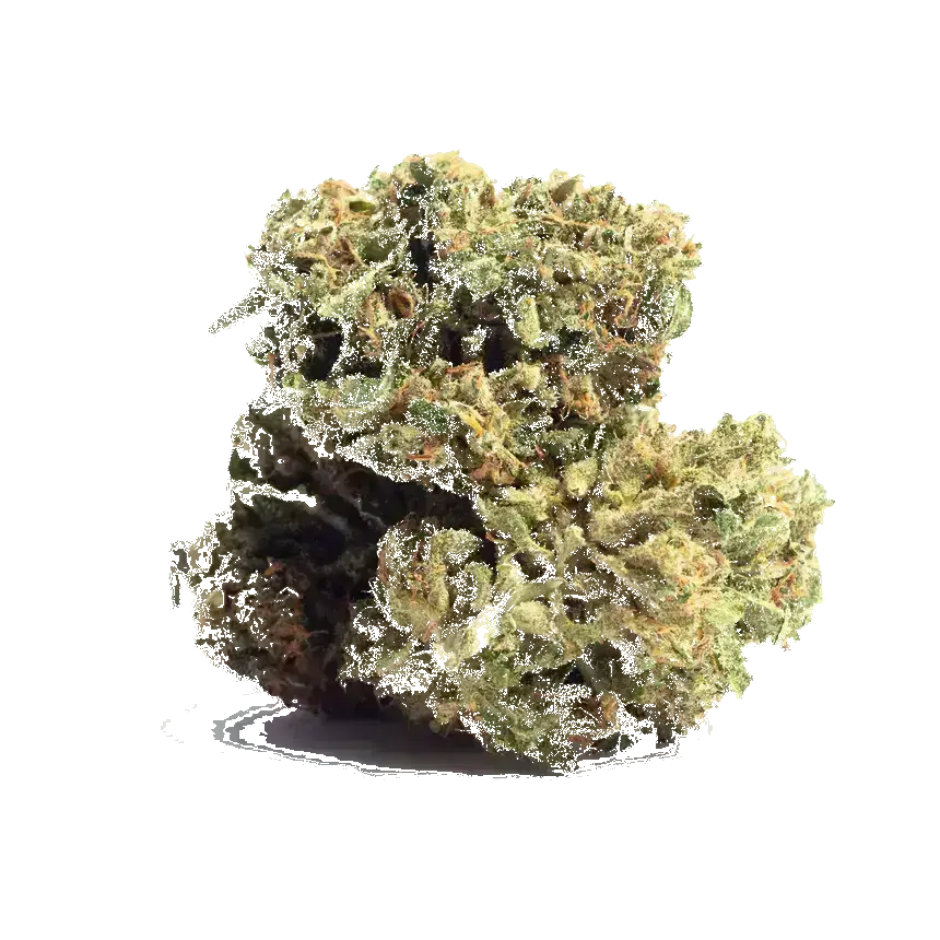 Alien Dawg