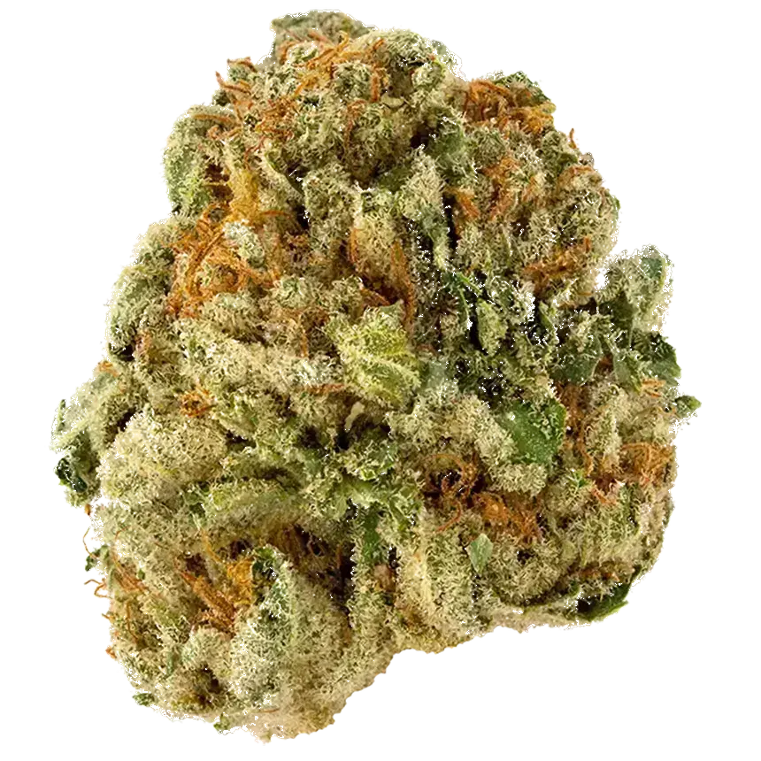 American Kush