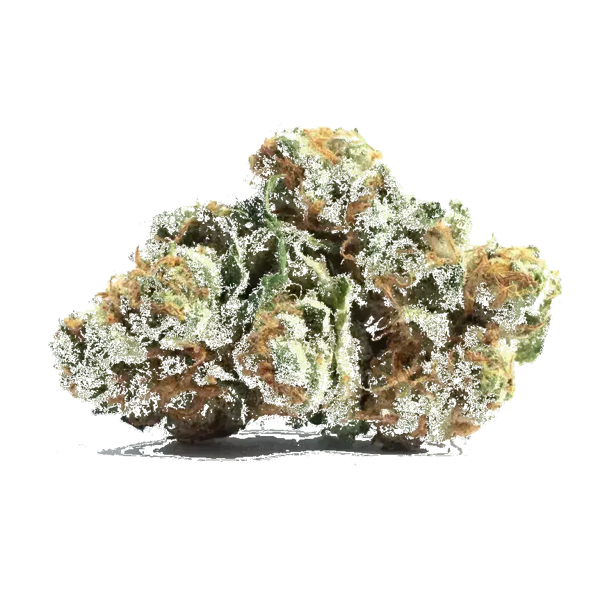 Amnesia Ganja Haze