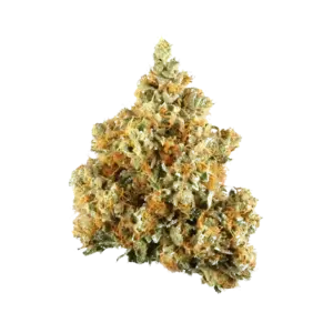 Anesthesia