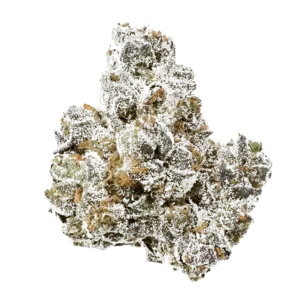 Apple Fritter