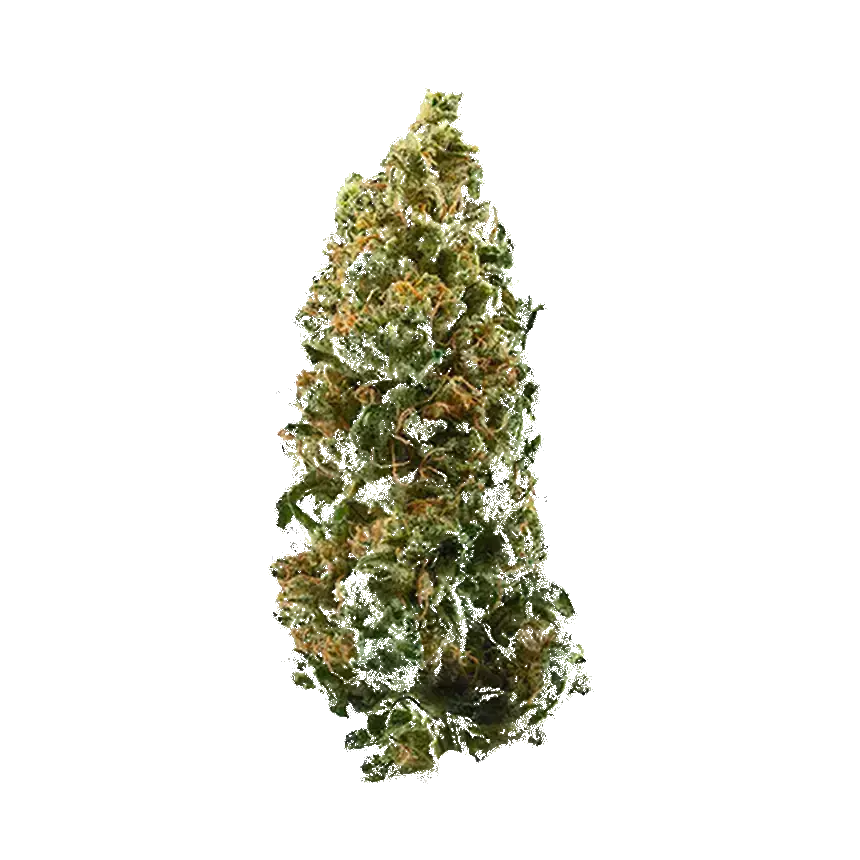 Arjan'S Strawberry Haze