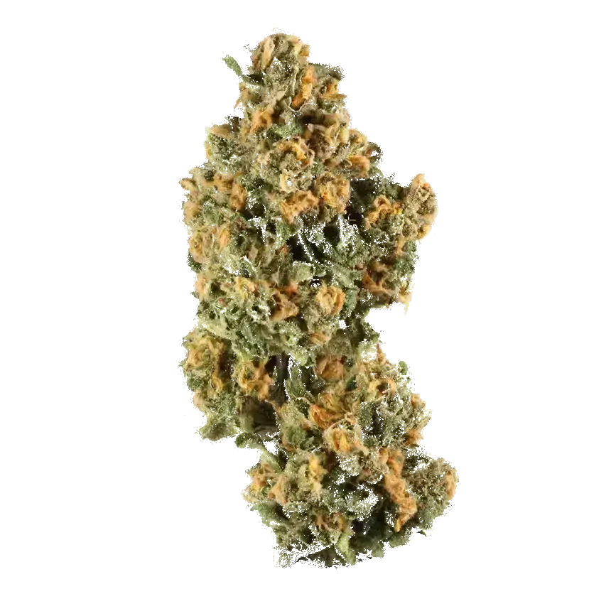 Bangi Haze