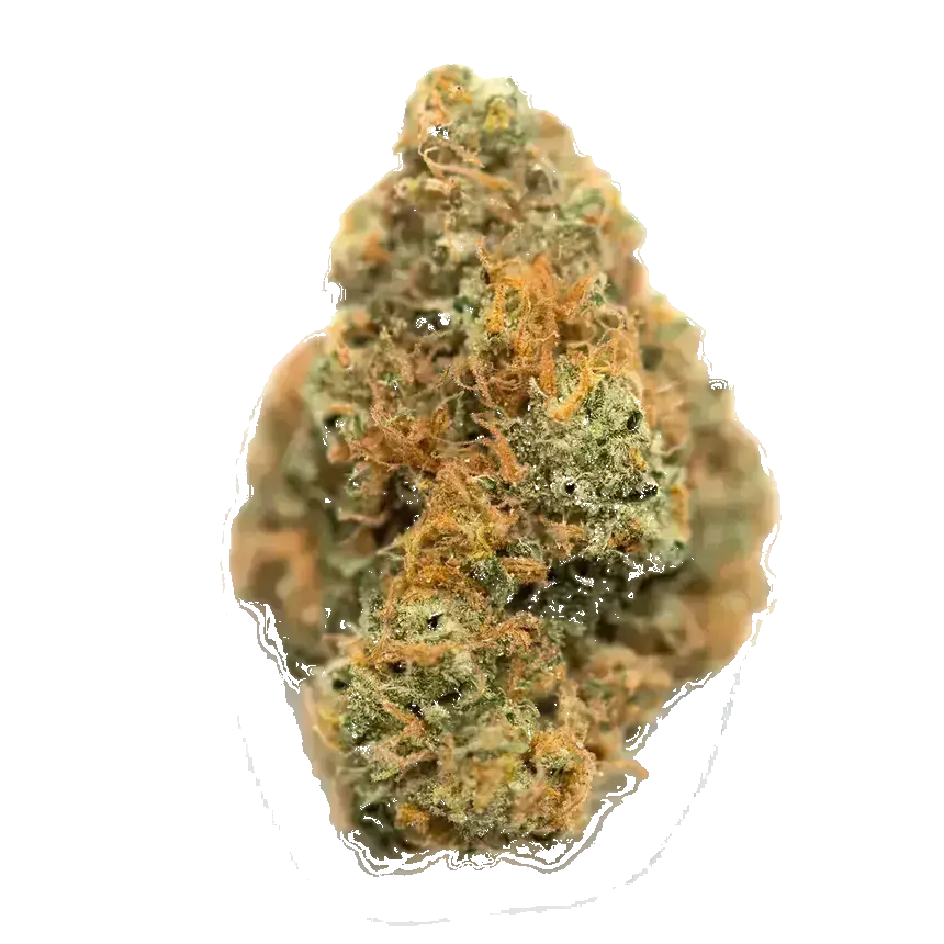 Bitter Orange