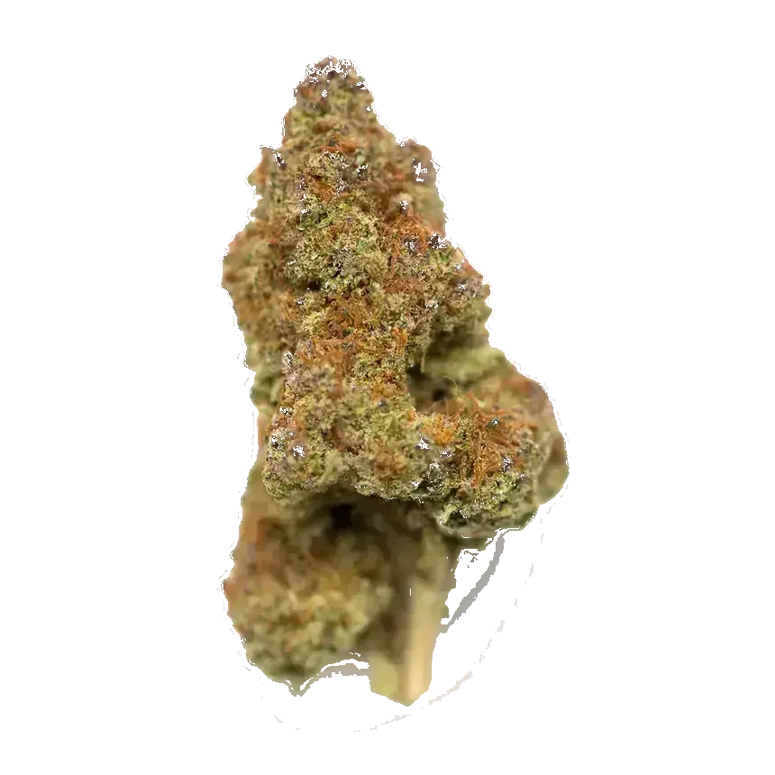 Black Cherry Pie