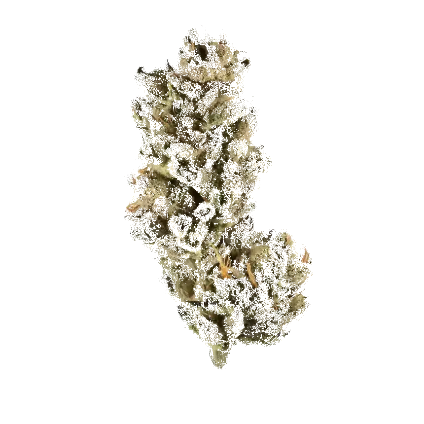 Black Diesel