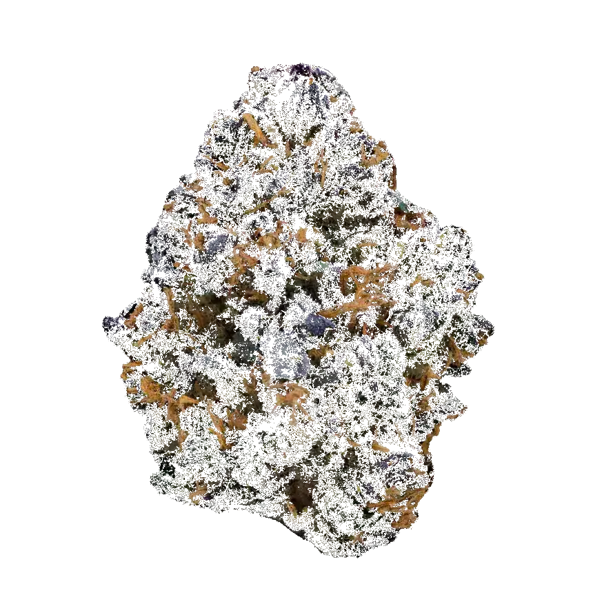 Blue Cookies