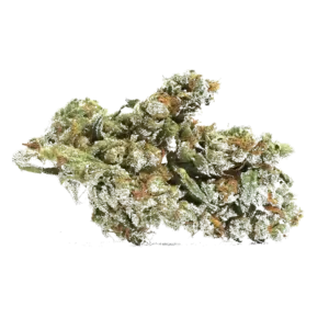 Blueberry Cookies