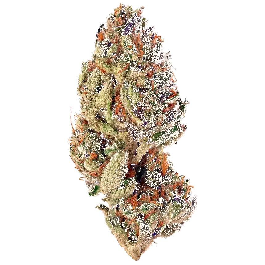 Blueberry Cupcake