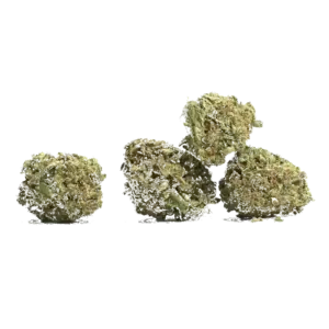 Blueberry Kush