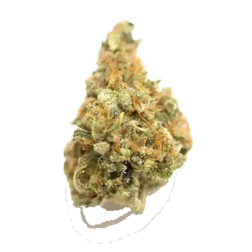 Chem Scout