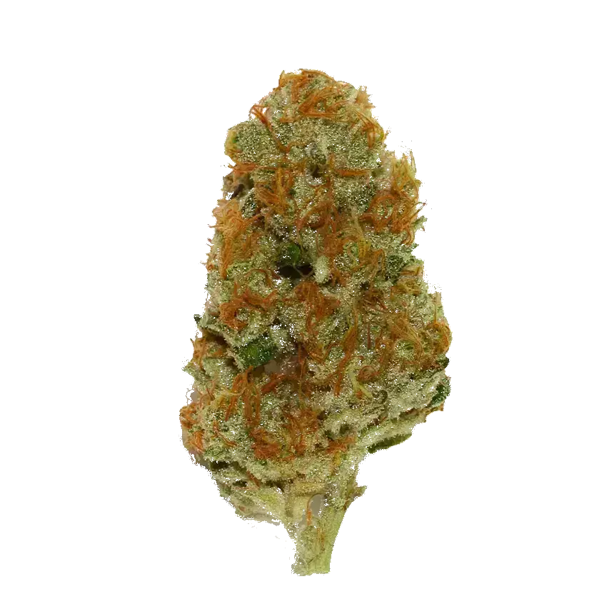Cream Caramel