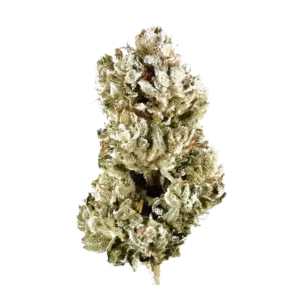Divine Banana