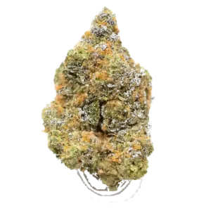 Dream Berry