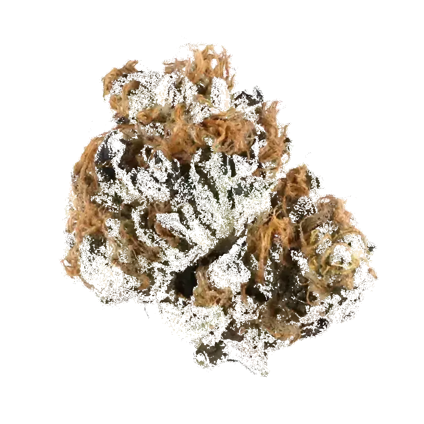 Fire Alien Master