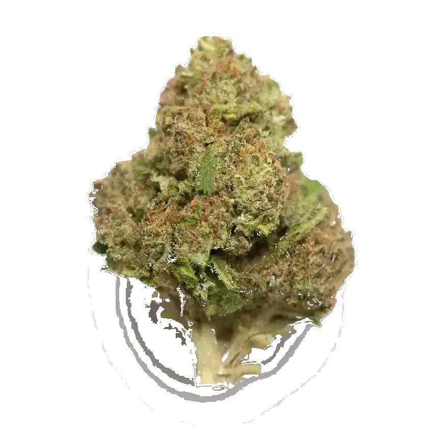 Flowerbomb Kush