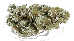 Gmo Og