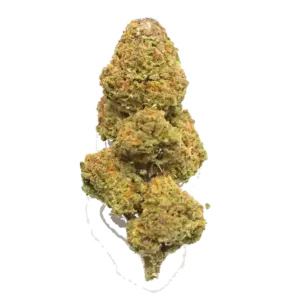 Gorilla Biscuit