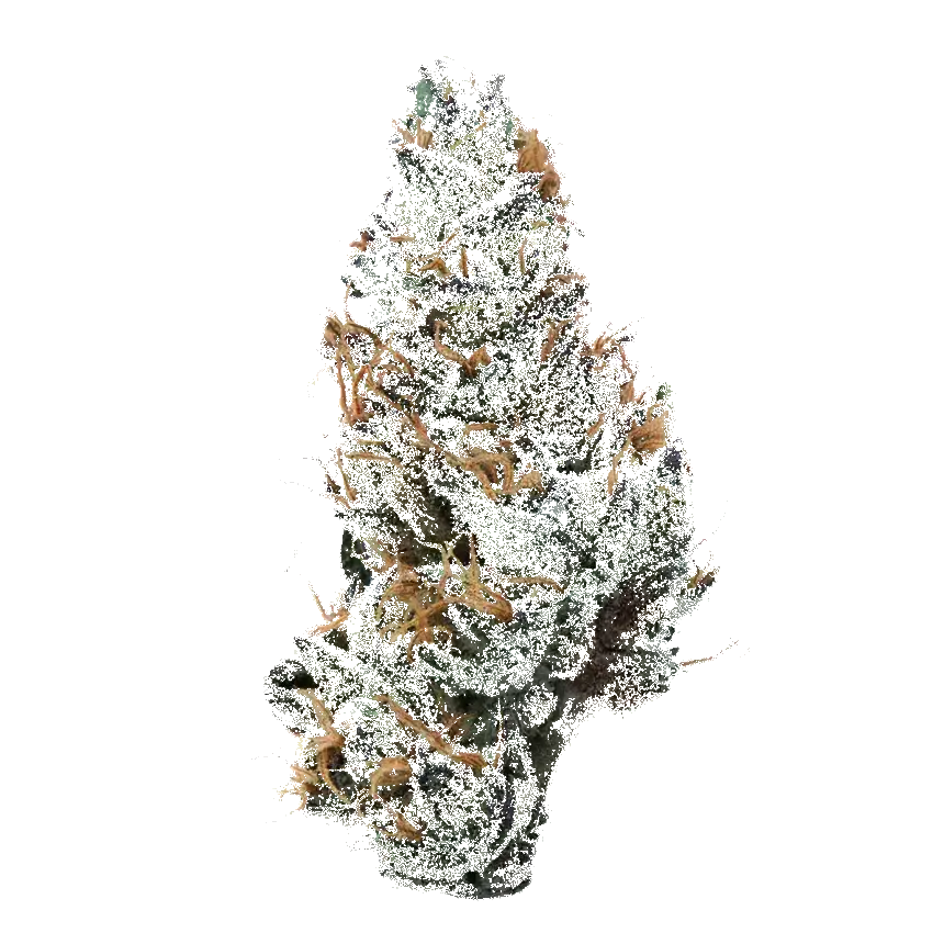 Grape Ape