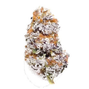 Grape Cookies