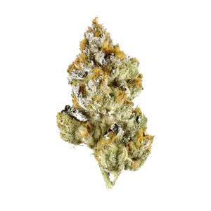 Grapefruit Kush