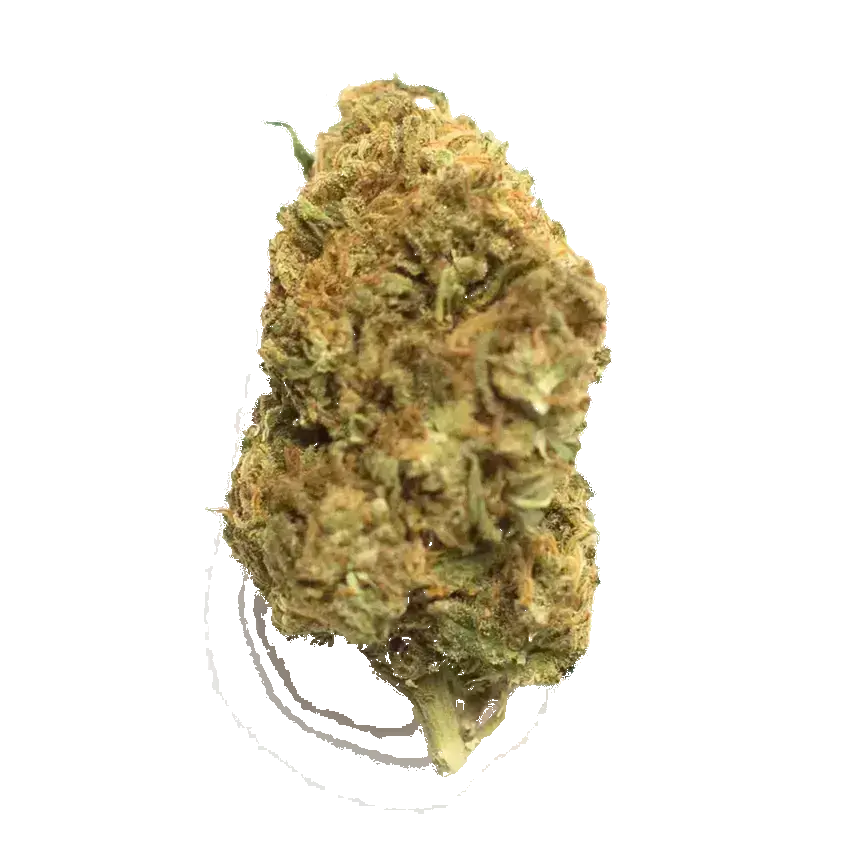 Guptilla