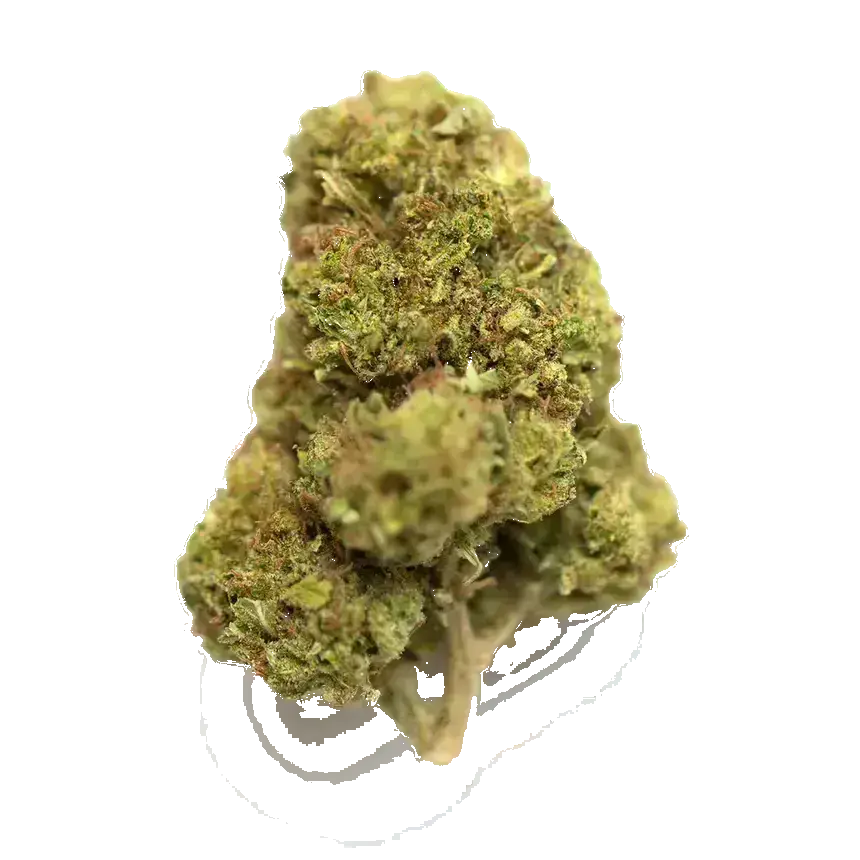 Hawaiian Duckfoot