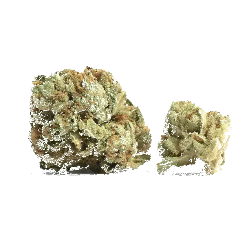Head Cheese